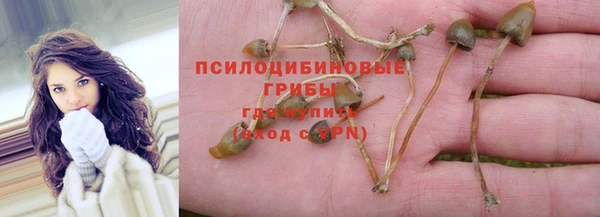 дурь Верхний Тагил